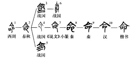 命同音字|命的同音字？